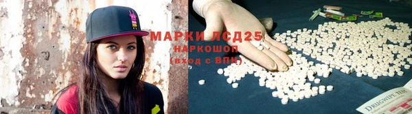 шишки Корсаков