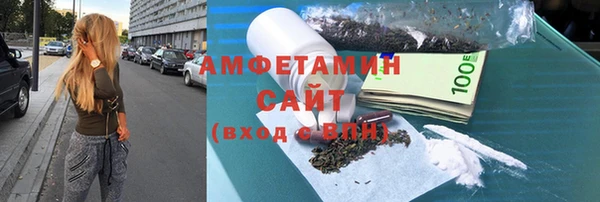 шишки Корсаков