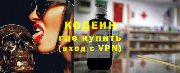 шишки Корсаков