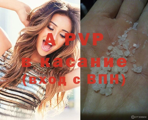 шишки Корсаков
