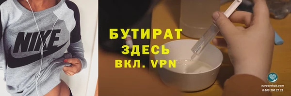 шишки Корсаков
