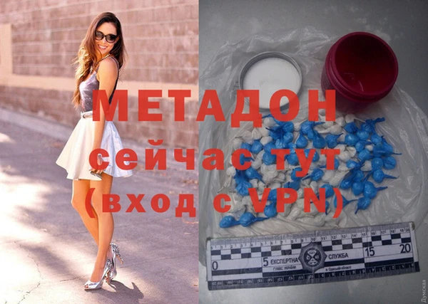 шишки Корсаков