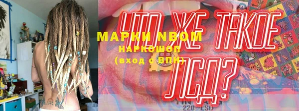 шишки Корсаков
