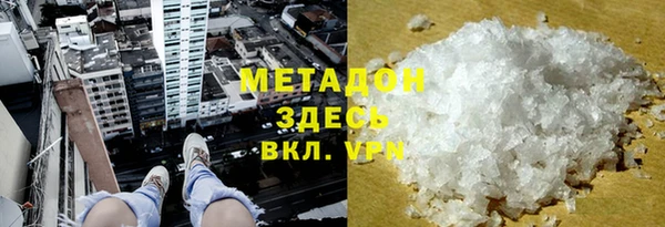 шишки Корсаков