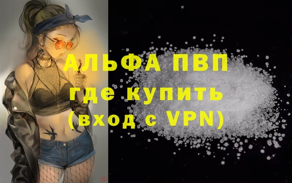 шишки Корсаков