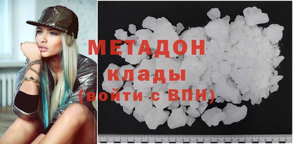 шишки Корсаков